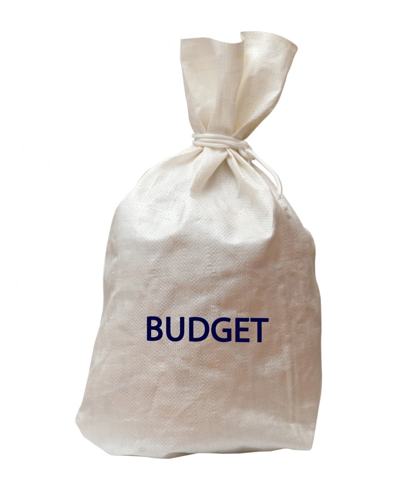 Bag with budget